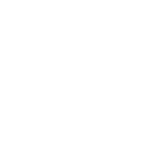Leadership Execution Institute
